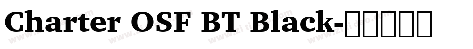 Charter OSF BT Black字体转换